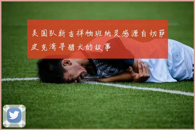 美国队新吉祥物班纳灵感源自切萨皮克湾寻猎犬的故事