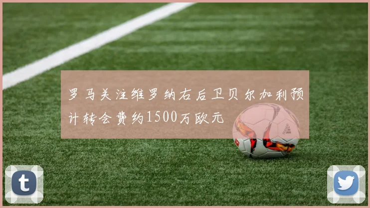 罗马关注维罗纳右后卫贝尔加利预计转会费约1500万欧元